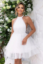 Load image into Gallery viewer, Halter Neck Backless Mesh Dress