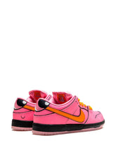 Load image into Gallery viewer, Powerpuff Girls Blossom Nike SB
